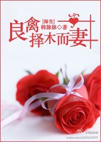 ������ľ���ޣ�ʦ������ĺ�����峯��������